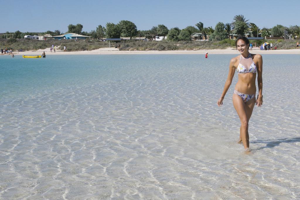 Ningaloo Reef Resort Coral Bay Exterior foto